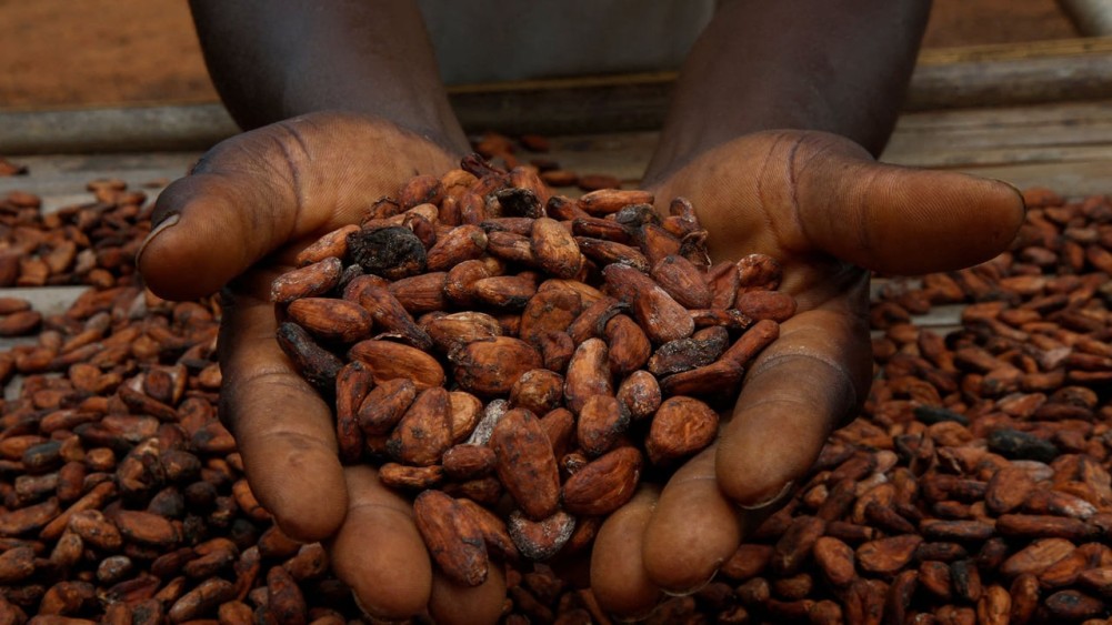 Le.prix du kilogramme fix&eacute; &agrave; 2800 Fcfa