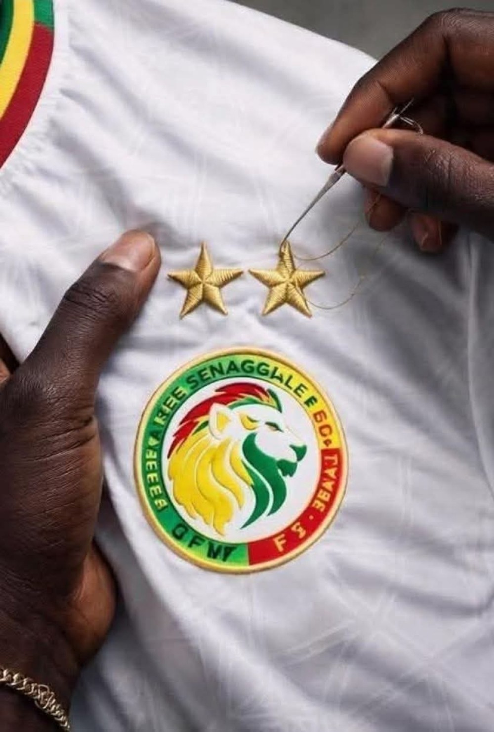 Le S&eacute;n&eacute;gal risque de perdre son titre de champion d'Afrique