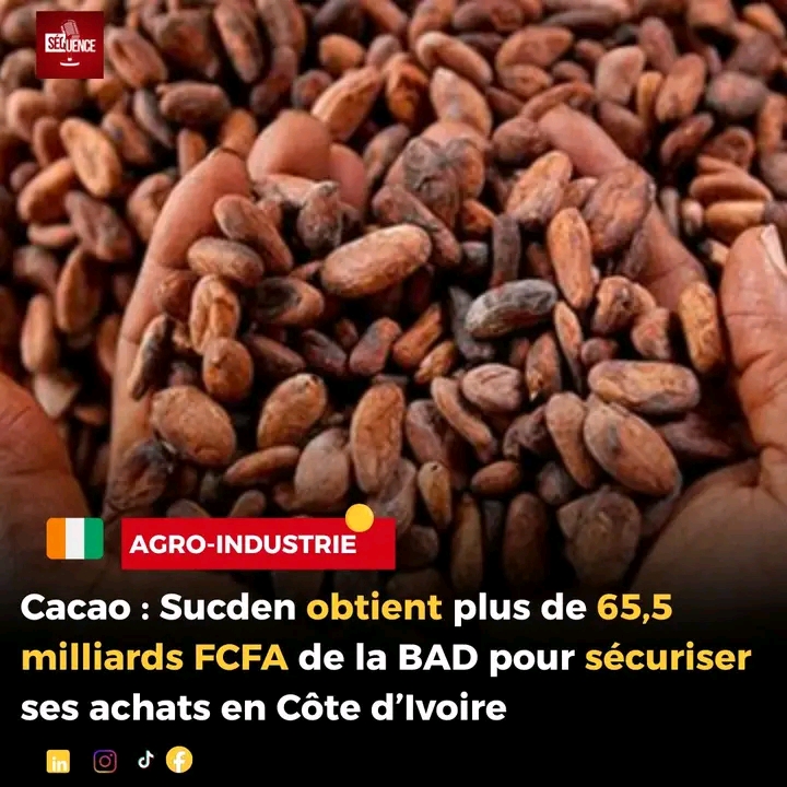 Bonne nouvelle pour la relance de la fili&egrave;re  cacao